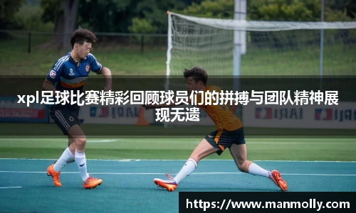 万博max官网